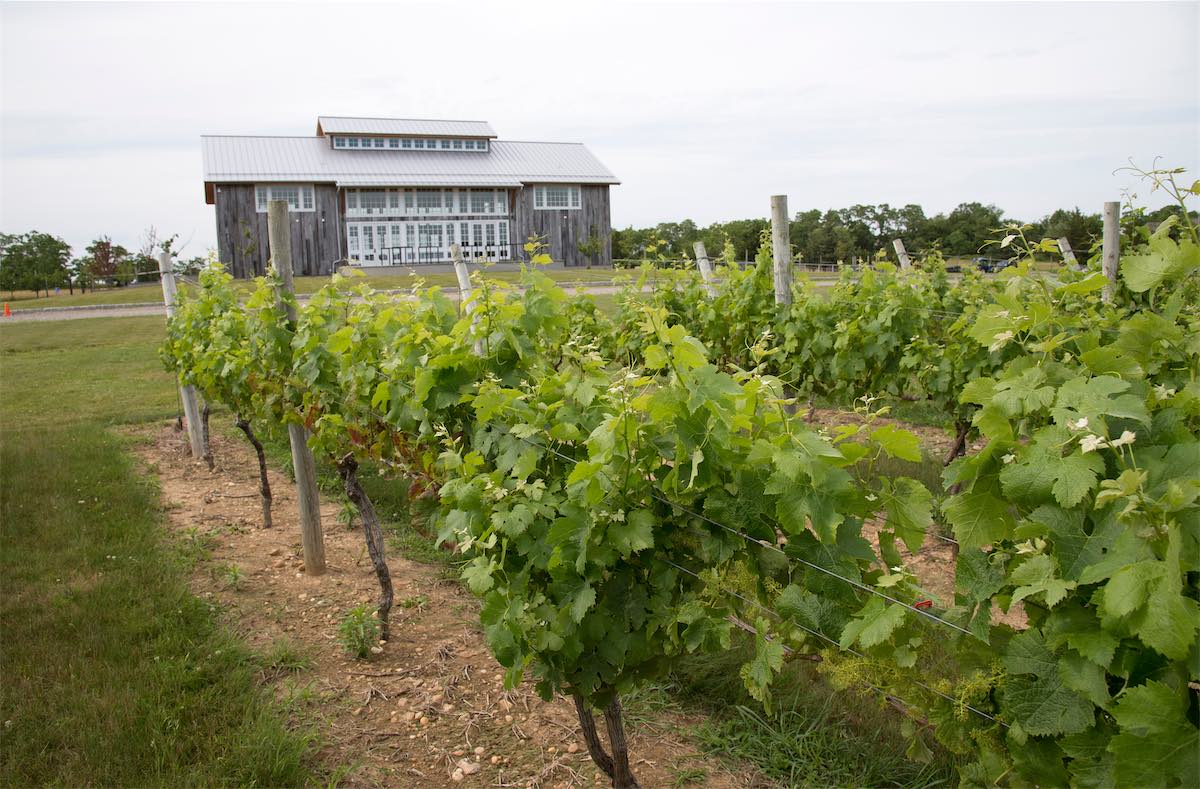 Rhode Island Winery
