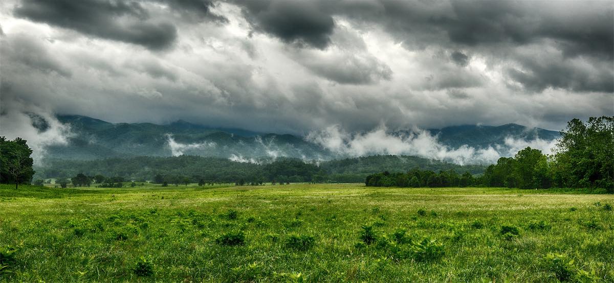 A meadow on a misty morning at Cades Cove