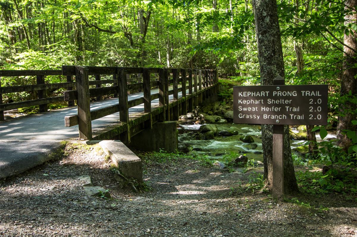Hiking trail in the Great Smoky Mountains